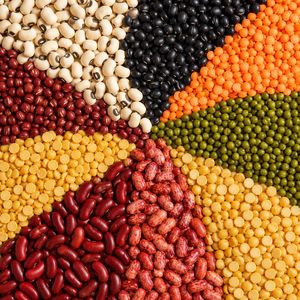 Dal